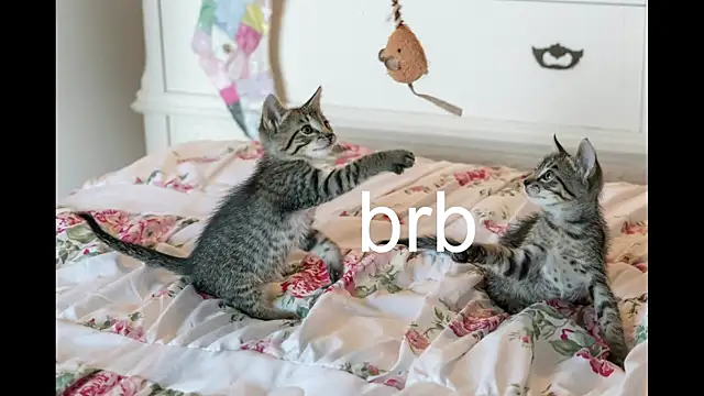 Pink girl0n online show from September 25, 12:20 pm