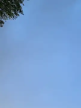 Snapshot of raen001 chatting on November 24, 8:47 am raen001 online show from November 24, 8:47 am