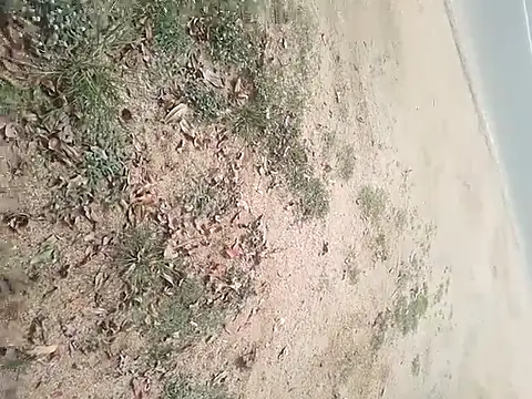 SAManthapathmasri online show from November 17, 7:47 am