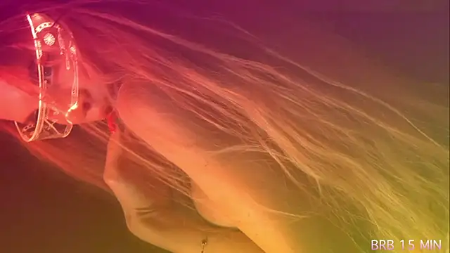 Alvuwkaa online show from April 7, 1:00 pm