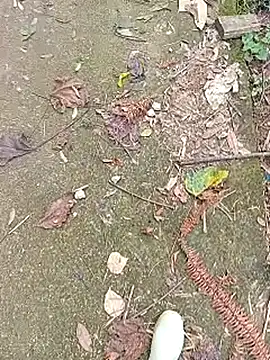 Phuongphuongg online show from October 27, 4:27 am