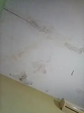 Snapshot of cometa267 chatting on October 14, 5:58 pm cometa267 online show from October 14, 5:58 pm