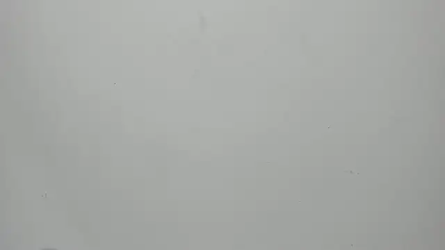 invincible200 online show from September 15, 1:55 pm