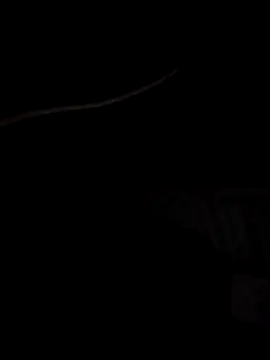 Xharmakesyoufeelorgasms online show from October 19, 12:11 am