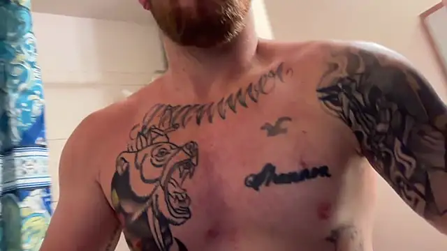 bearcub300 online show from January 11, 8:08 am