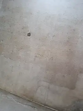 Snapshot of Sgaf39 chatting on September 14, 11:42 am Sgaf39 online show from September 14, 11:42 am