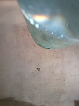 Snapshot of Sgaf39 chatting on October 6, 6:27 pm Sgaf39 online show from October 6, 6:27 pm