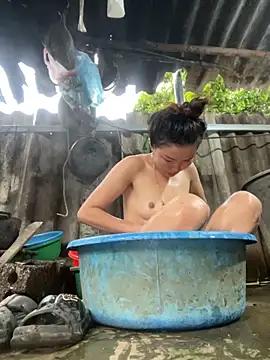 Sunny lotus online show from November 2, 12:02 am