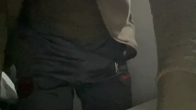 Snapshot of peterpapiNL chatting on October 27, 4:00 pm peterpapiNL online show from October 27, 4:00 pm