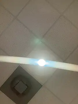 honestlychina online show from April 13, 9:15 am