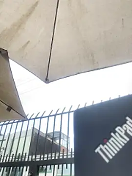 Sallem Pink online show from November 6, 11:22 am