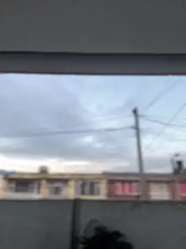 Sallem Pink online show from March 13, 11:17 am