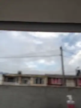 Sallem Pink online show from March 19, 11:14 am