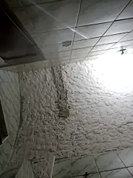 Snapshot of BrenoAvelar chatting on December 21, 1:57 am BrenoAvelar online show from December 21, 1:57 am