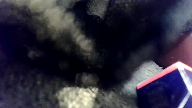 Evieskyyxh online show from November 26, 10:49 am