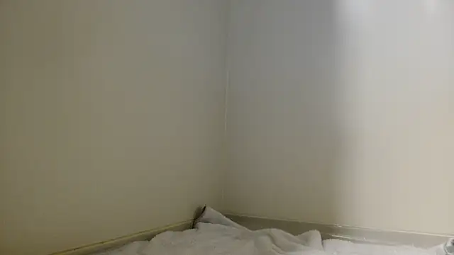 shint-11 online show from October 19, 11:44 am