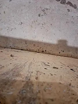 Negodabenga online show from December 17, 11:33 pm