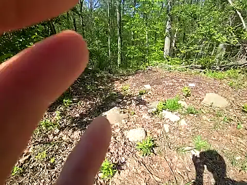 sloppytopkins online show from April 20, 2:42 pm