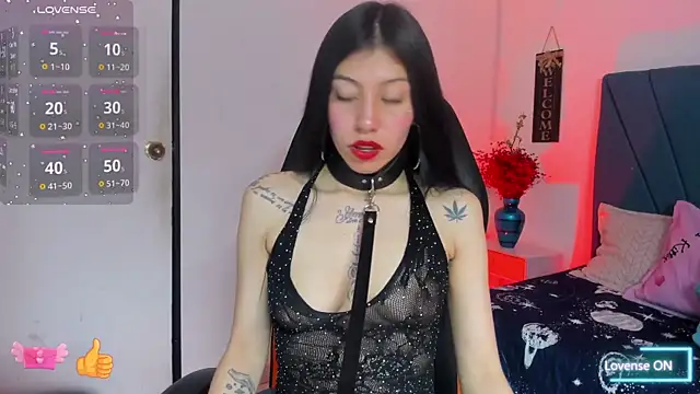 Aily star online show from September 19, 4:36 am