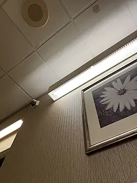 Tu GataLinda online show from November 1, 12:56 am