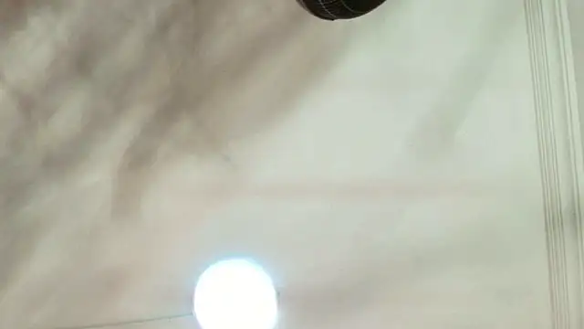 Dixie grey1 online show from September 13, 1:33 pm