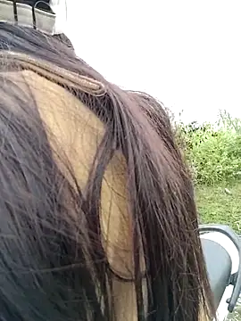 Snapshot of asian_2k chatting on November 23, 1:16 am asian 2k online show from November 23, 1:16 am