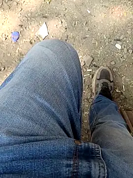 indian pavi online show from February 1, 9:30 am