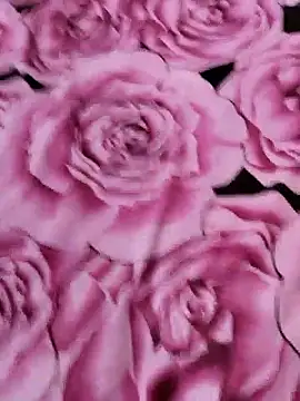 sana-5 online show from April 14, 5:08 pm