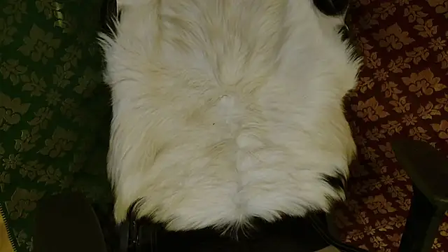 JUSTFORRICH online show from April 20, 3:48 pm