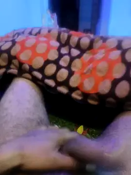 pppppp7811 online show from February 14, 5:43 pm