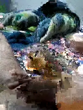 Snapshot of sitonmycock_ chatting on October 6, 9:01 pm sitonmycock online show from October 6, 9:01 pm