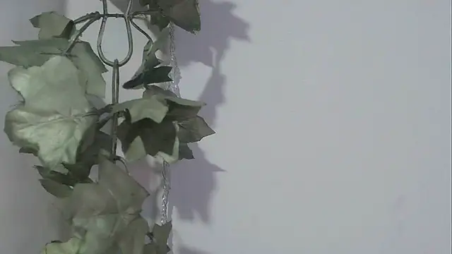 angelainparis28 online show from November 17, 8:25 pm