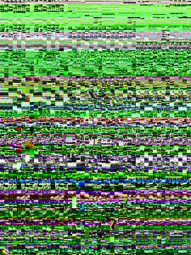 lynn9000 online show from November 20, 5:18 am