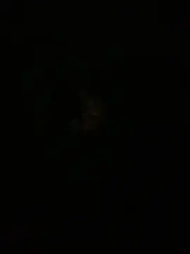 amitsharma7868 online show from April 20, 4:10 pm