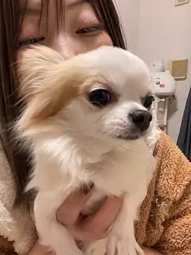 Snapshot of h415a812 chatting on November 20, 1:55 pm h415a812 online show from November 20, 1:55 pm