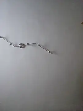 Snapshot of Hamutip chatting on October 31, 12:50 pm Hamutip online show from October 31, 12:50 pm