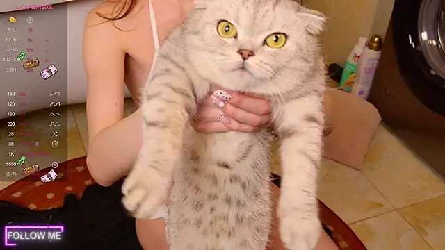 Snapshot of Angell_Wild chatting on November 24, 3:01 pm Angell Wild online show from November 24, 3:01 pm