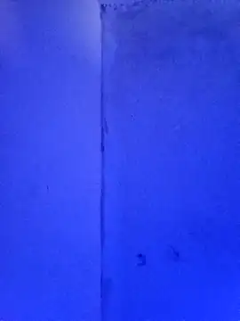 RandalHot online show from November 23, 2:06 pm