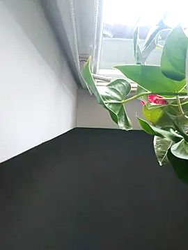 Czarnoksieznik online show from November 2, 12:07 pm