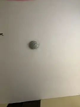 javi fer online show from December 19, 2:13 pm