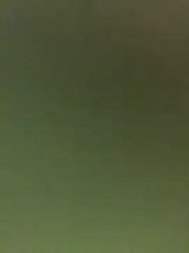 JuanitaMore01 online show from February 16, 9:55 pm