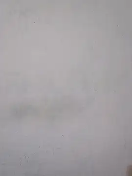 Snapshot of Alexsexygamer chatting on September 22, 1:02 pm Alexsexygamer online show from September 22, 1:02 pm