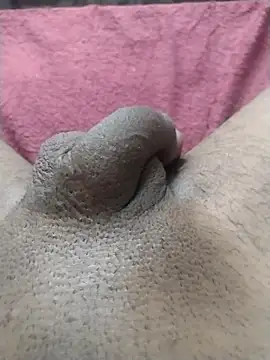 motoboytkbh online show from April 24, 3:58 pm