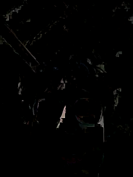 Kevintdx online show from September 23, 3:42 am