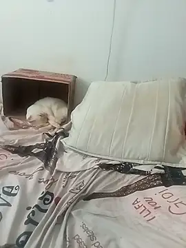 tany90 online show from November 19, 8:20 pm