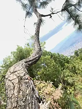 Snapshot of Alexis_Spicter chatting on September 16, 5:03 pm Alexis Spicter online show from September 16, 5:03 pm