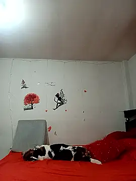 Lady 16 online show from January 6, 1:53 am