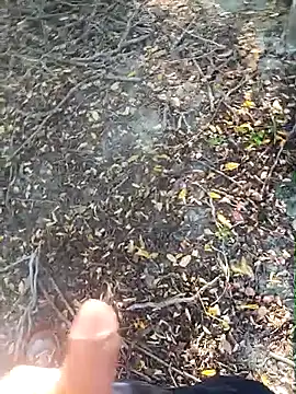 pegaso369 online show from October 15, 2:28 pm