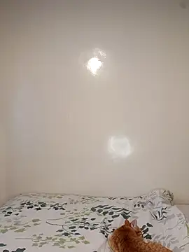 Nedambale online show from February 3, 10:53 am