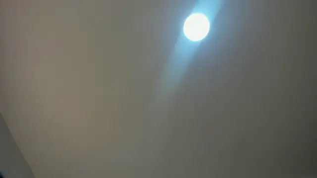 VioletRose as online show from November 30, 8:13 pm